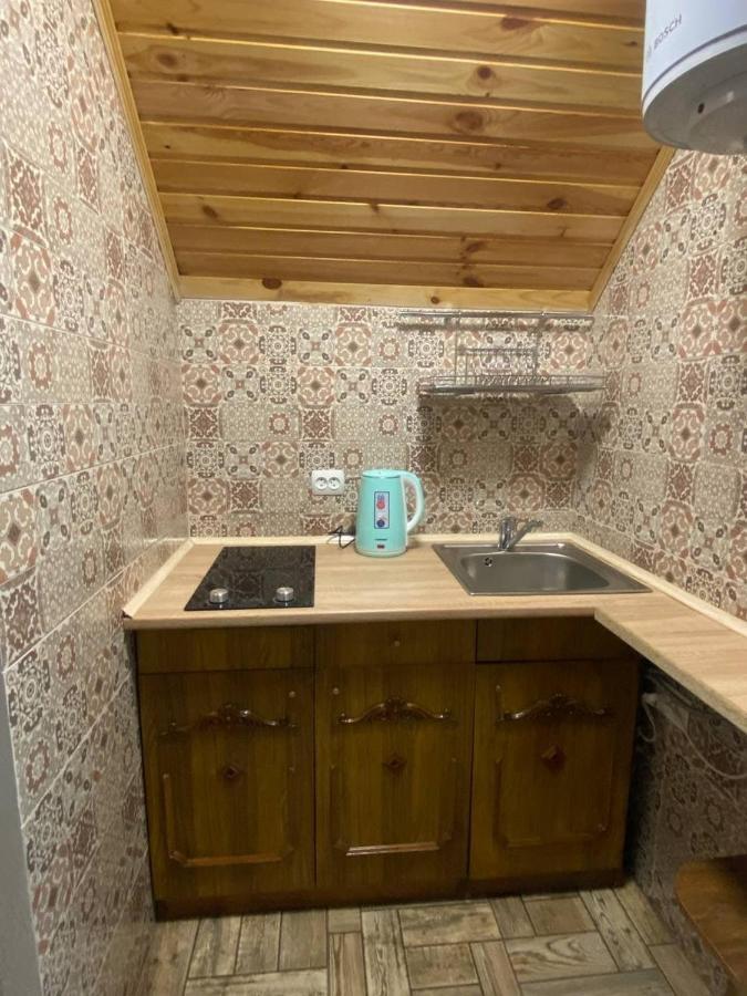 Затишок В Карпатах 1 Apartment Славске Екстериор снимка